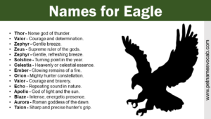 Names for Eagle
