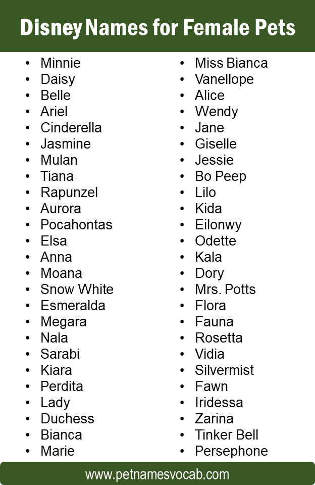 Names for Female Pets
