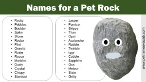 Names for a Pet Rock