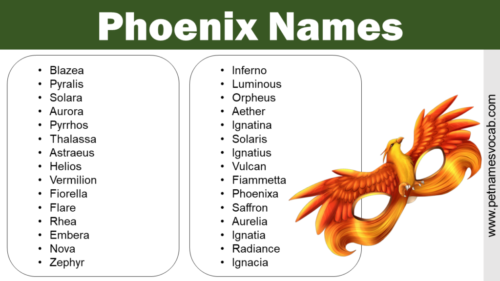 Phoenix Names: Inspiring Choices for New Beginnings - Pet Names Vocab