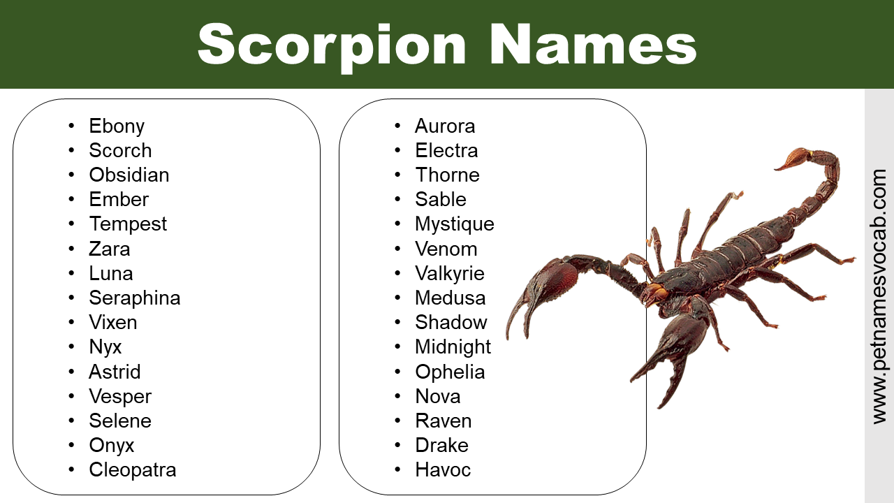 Scorpion Names