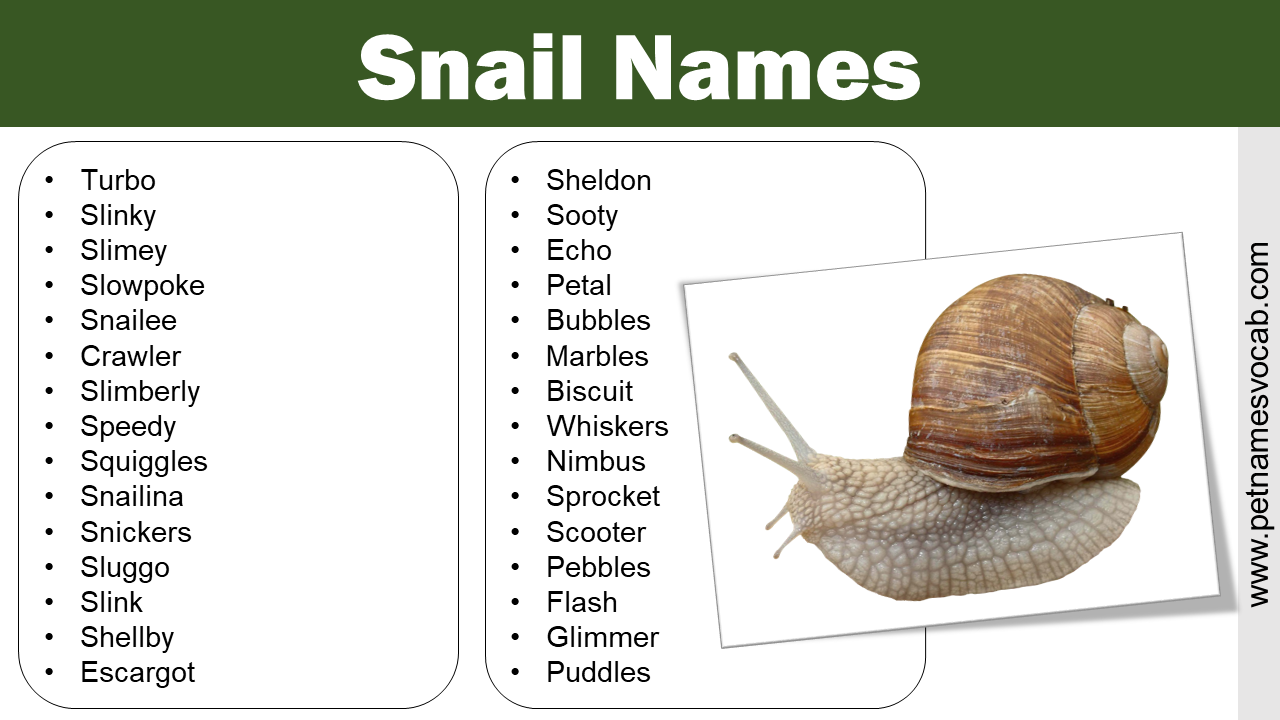 Snail Names