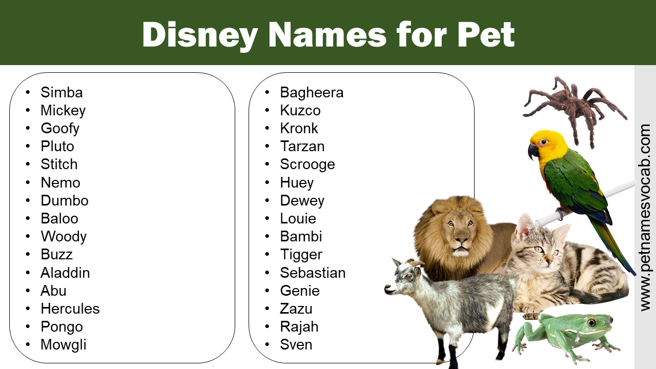 Disney names for pets