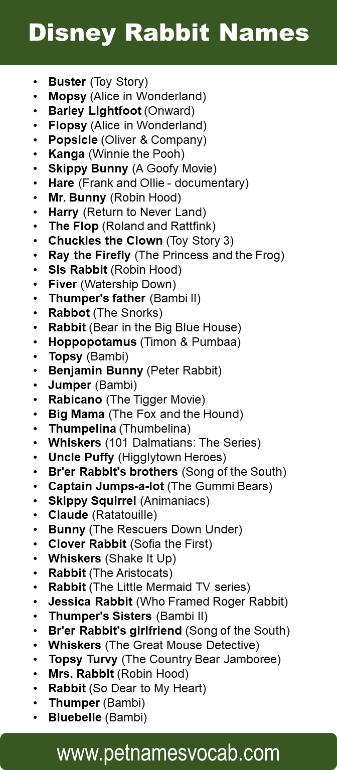 List Of Disney Rabbit Names Pet Names Vocab