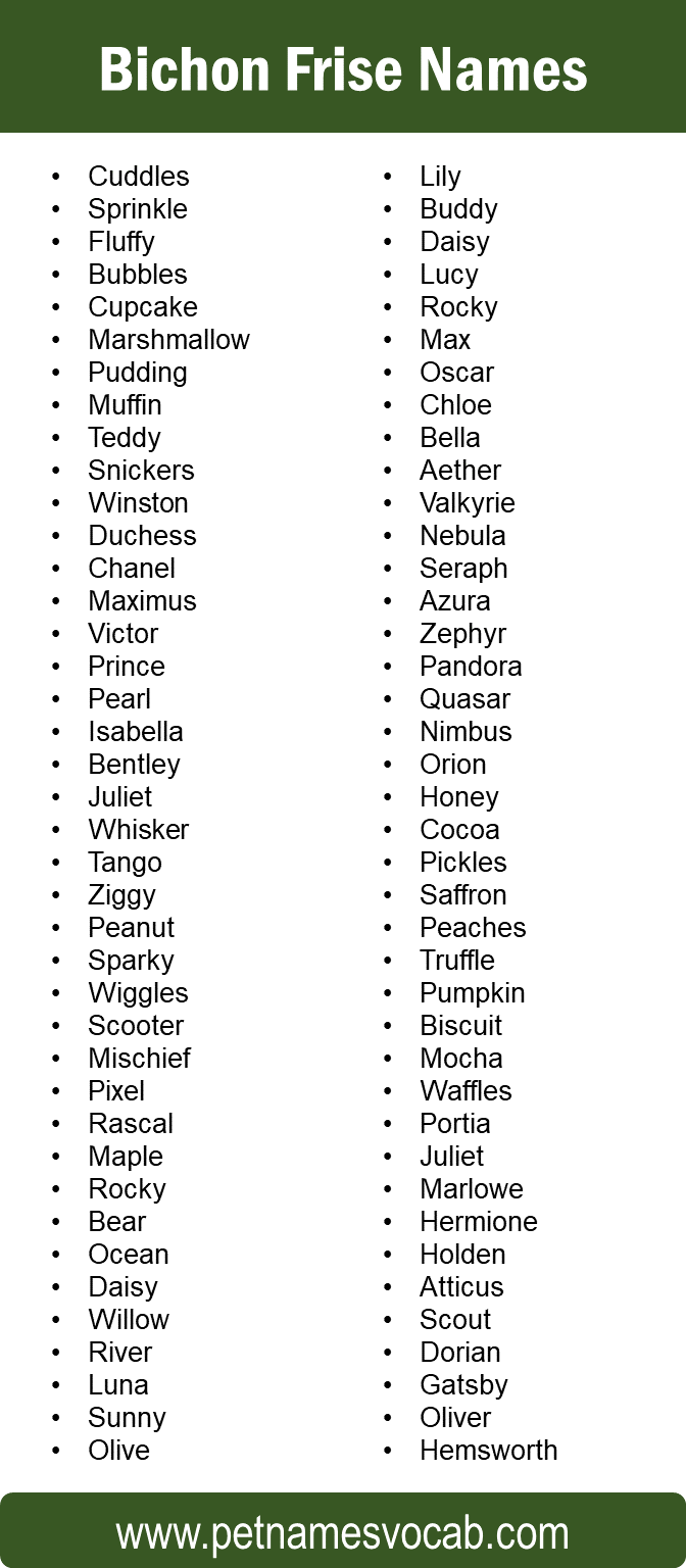 names for bichon frise