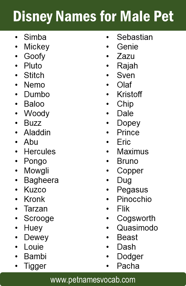 names for male pets