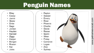 names for penguins