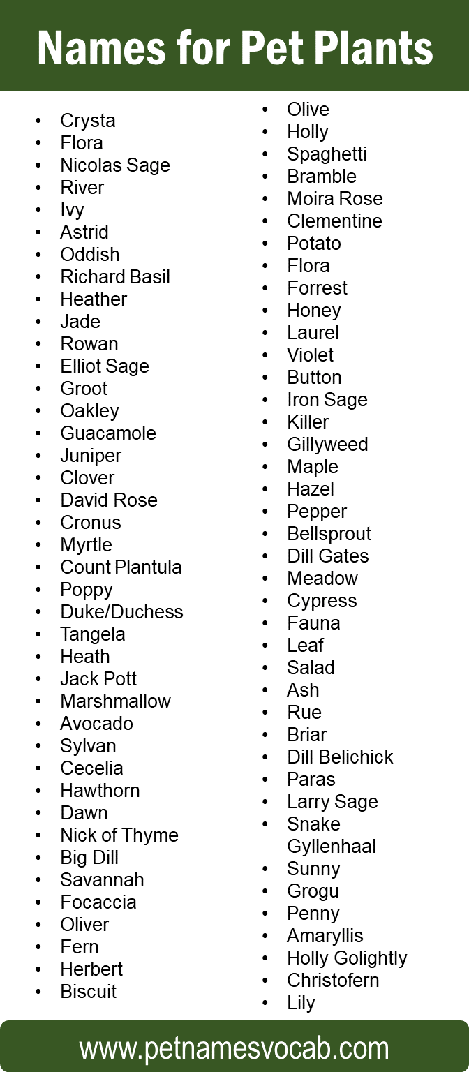 names for plants