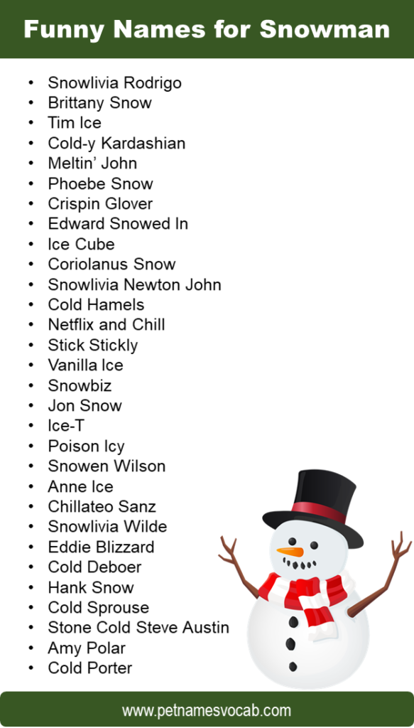 best-names-for-snowman-funny-cute-traditional-pet-names-vocab