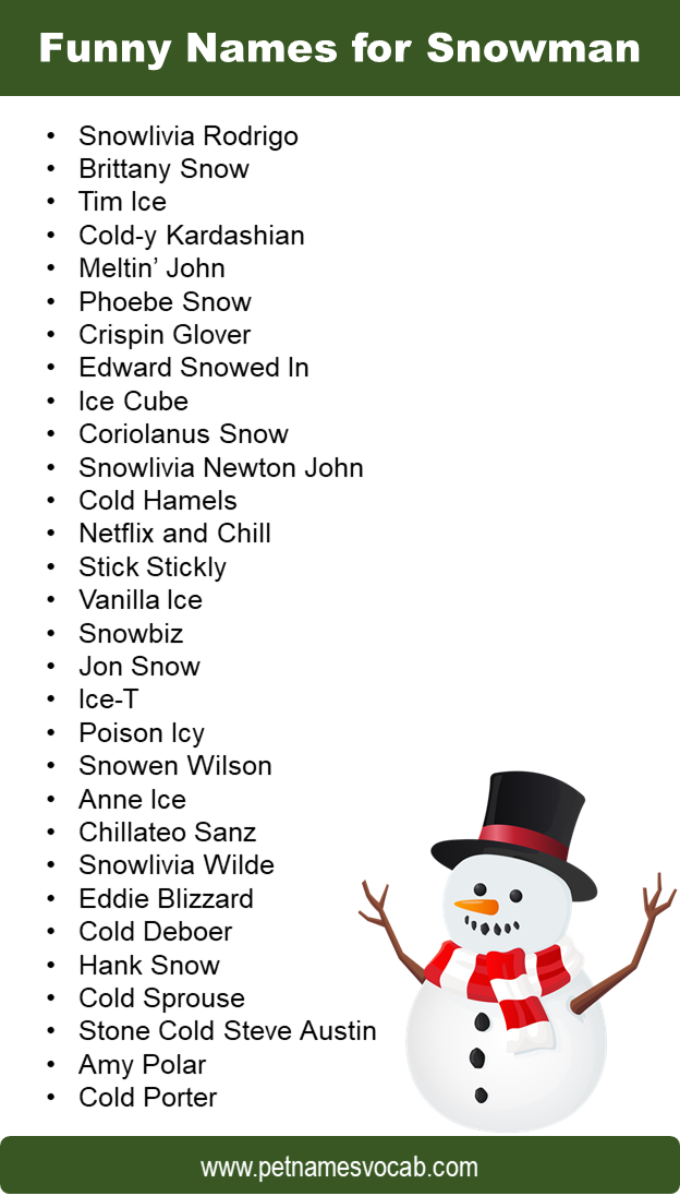 Funny Names for Snowman