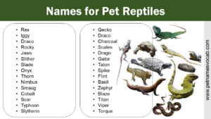 Names for Reptiles