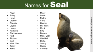 Seal Names