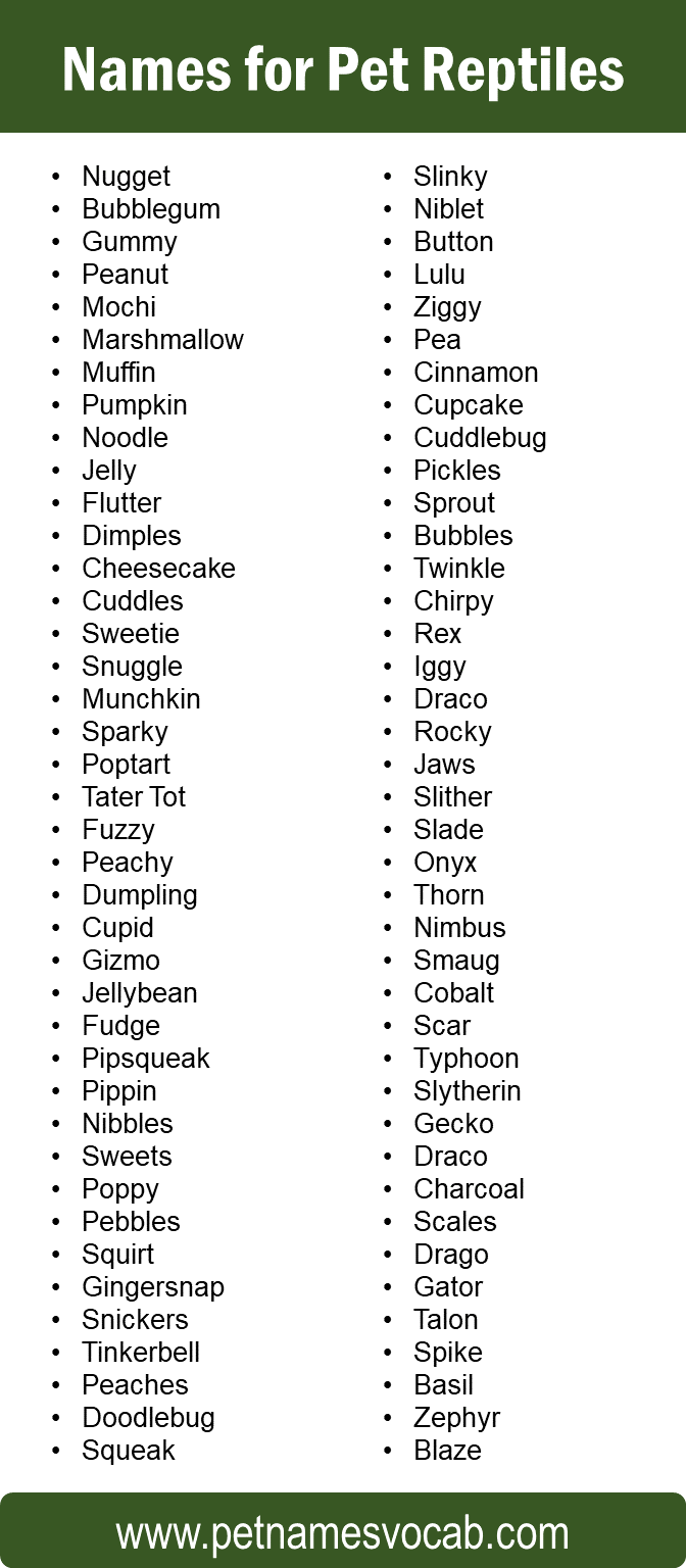 names for reptile pets