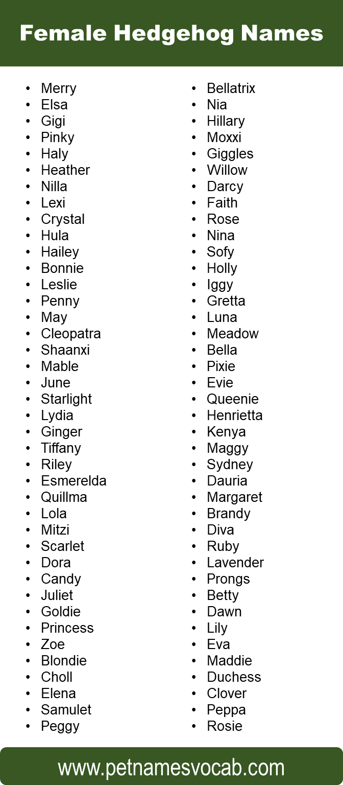 Female Hedgehog Names