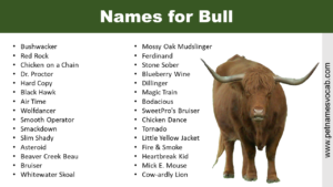 Names for Bull