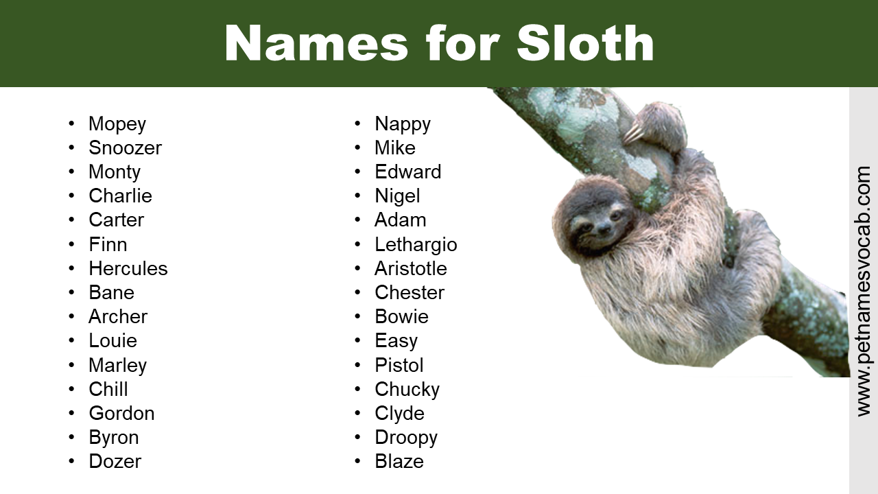 Names for Sloth