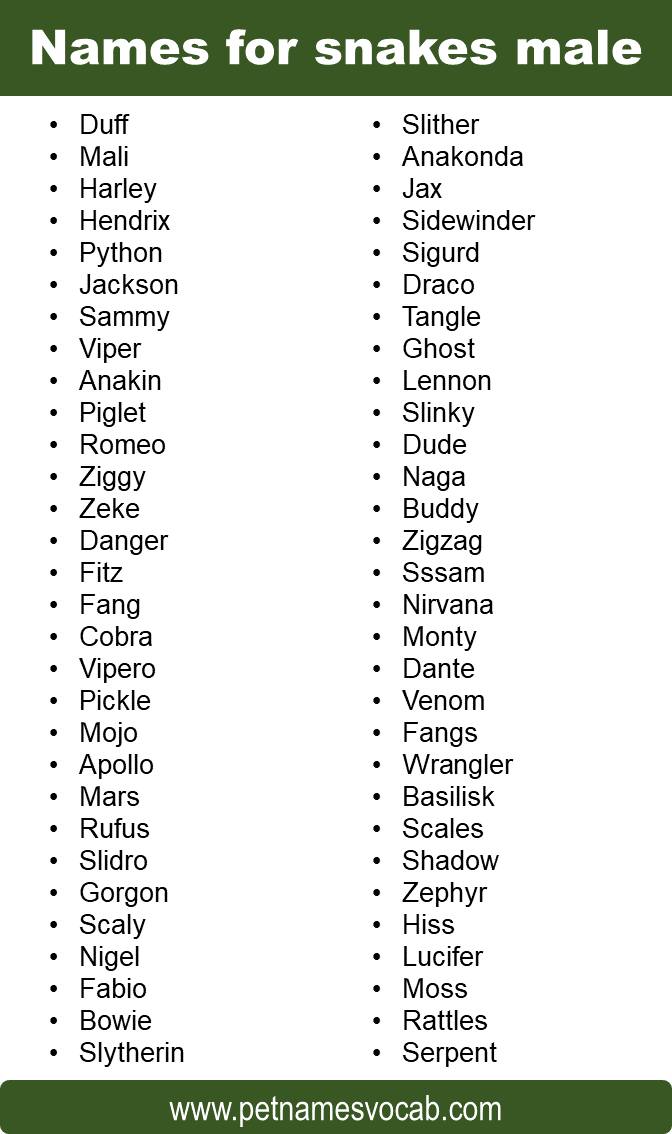 Names for snakes male