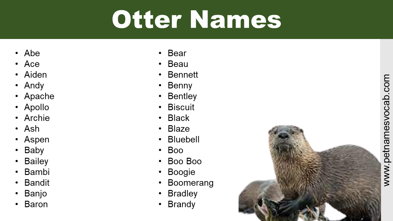 Otter Names