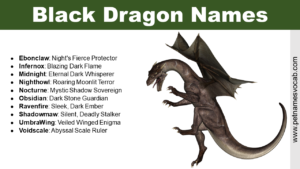 Black Dragon Names