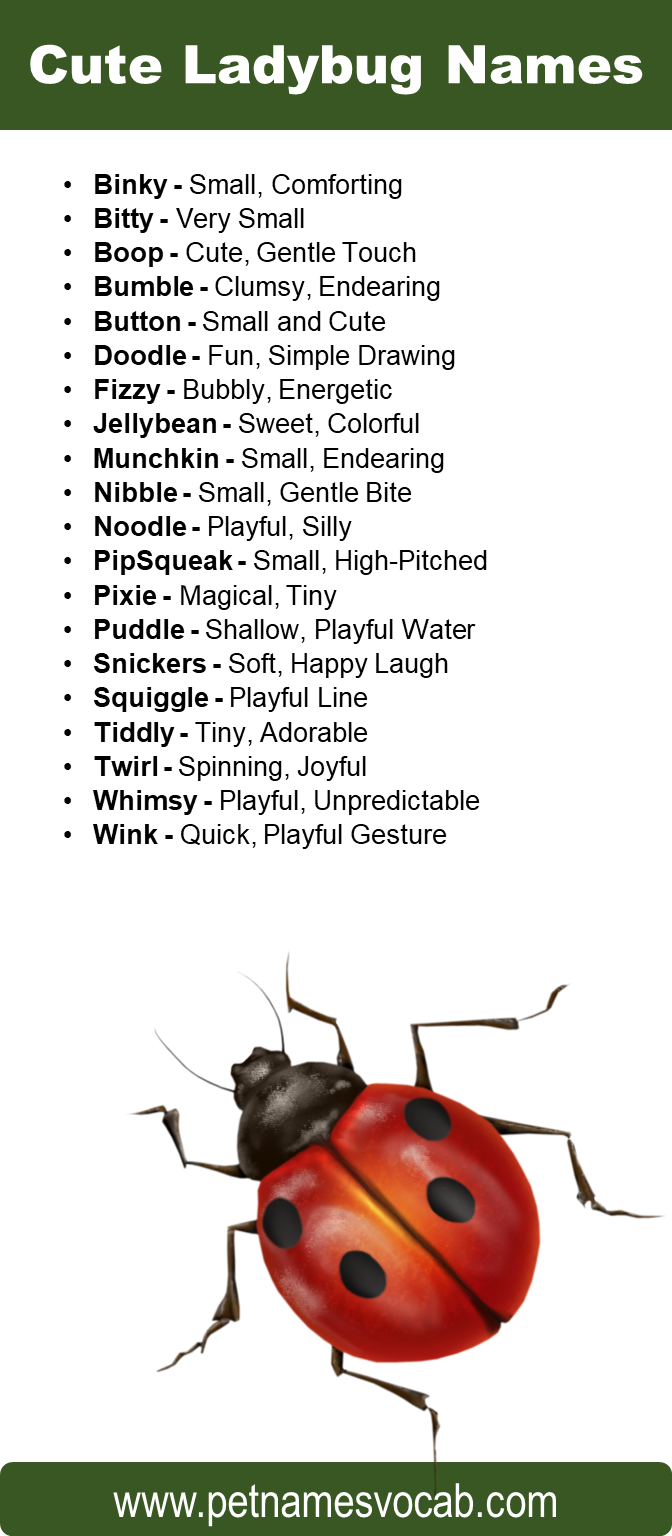 Cute Ladybug Names