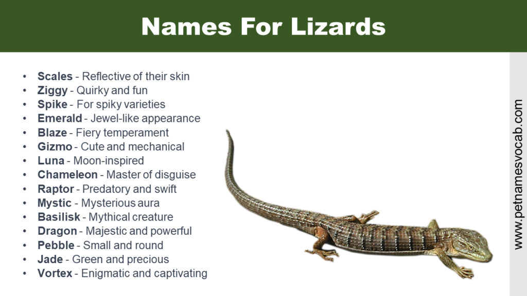 Names For Lizards - Pet Names Vocab