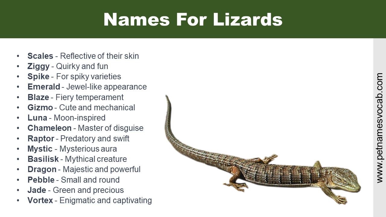 Names For Lizards