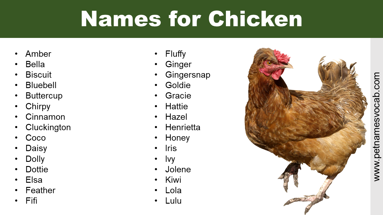 Names for Chicken