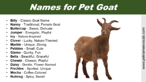 Names for Goats