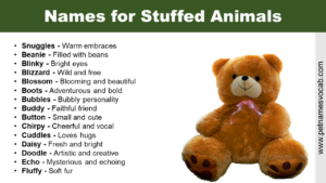 Names for Stuffed Animals