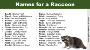 Names for a Raccoon