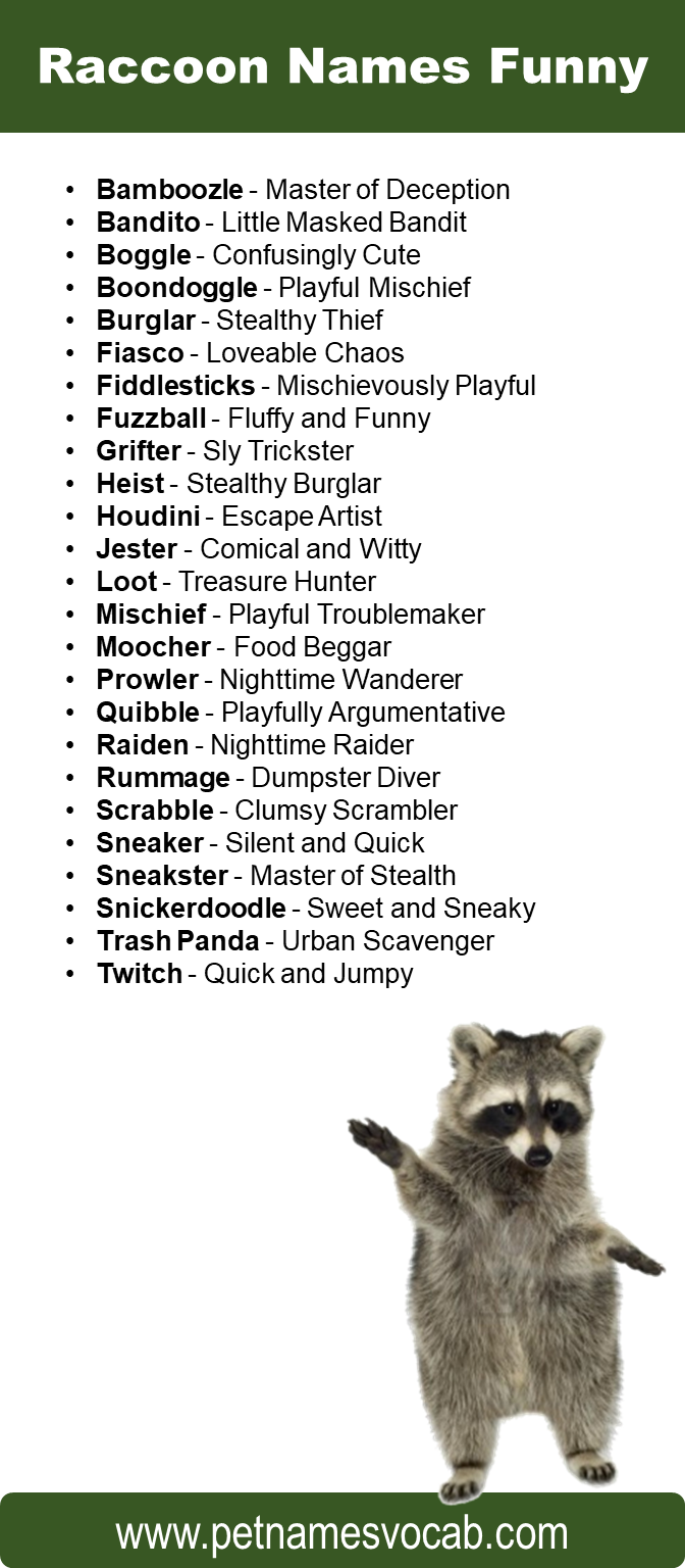 Raccoon Names Funny