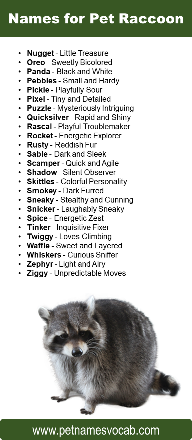 Raccoon Names