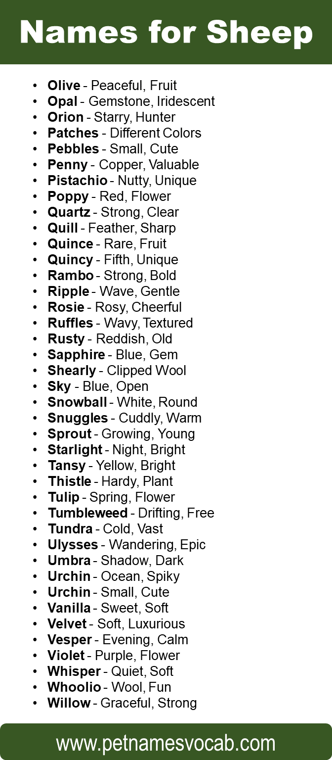 Sheep names