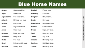 Blue Horse Names