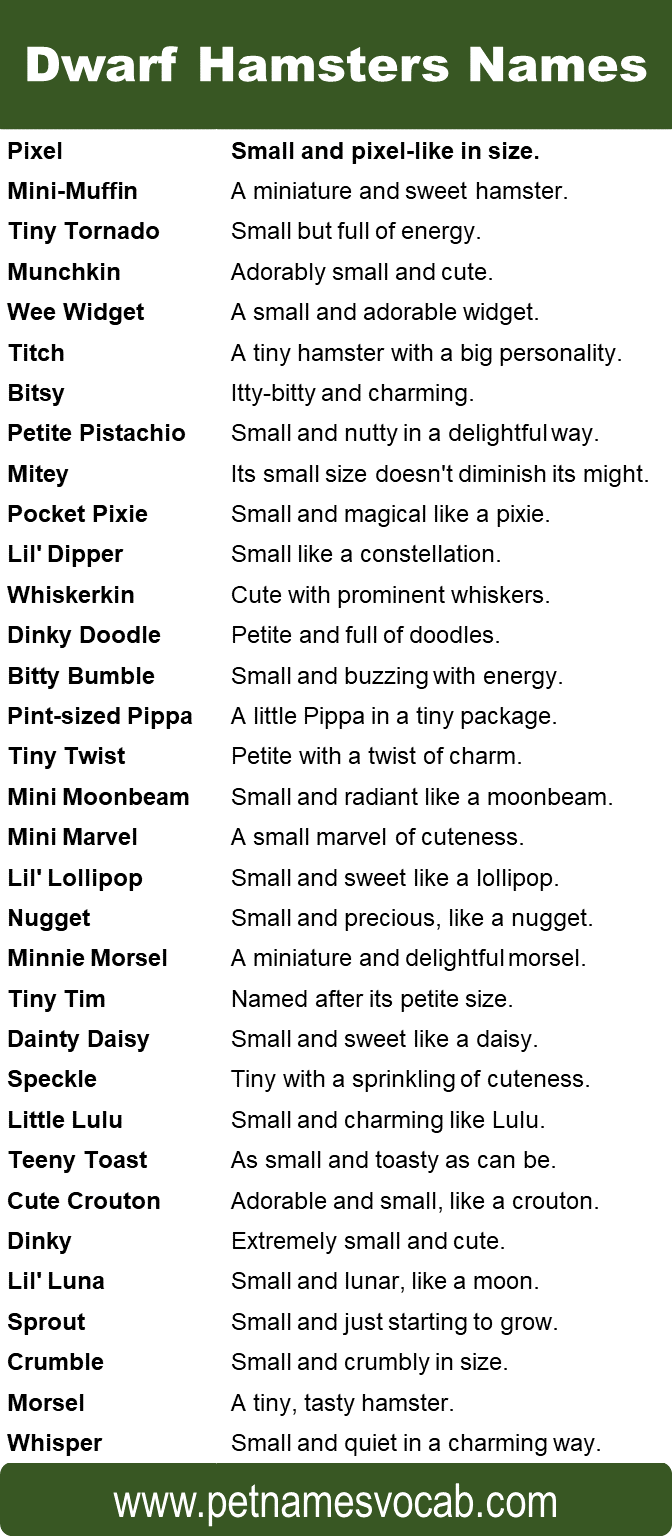 Dwarf Hamsters Names