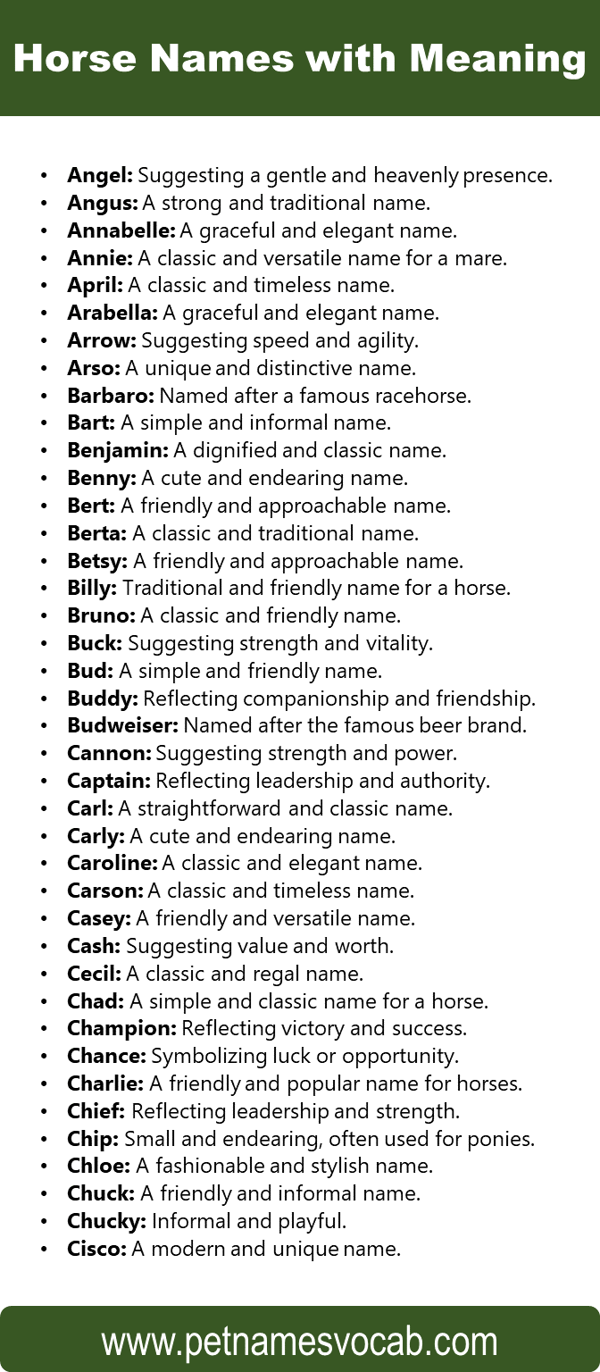 Horse Names with Meaning