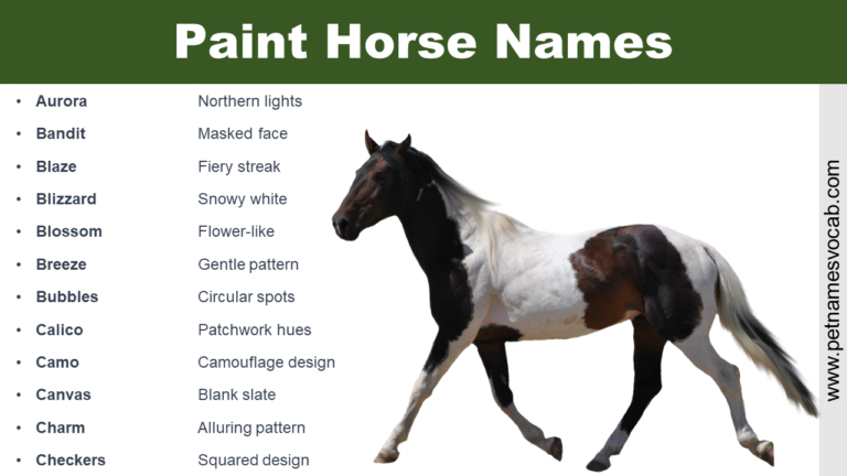 Indian Horse Names For Paint Mares