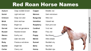 Red Roan Horse Names