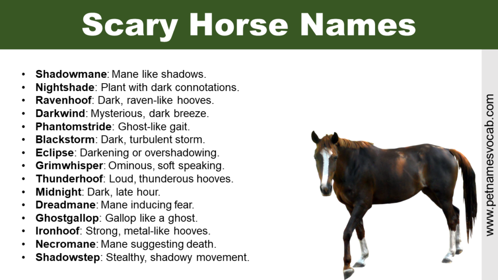 scary-horse-names-for-your-pet-pet-names-vocab