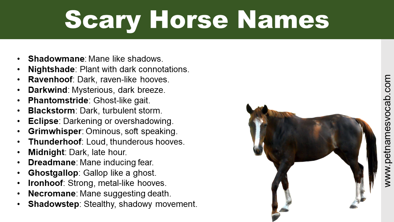Scary Horse Names