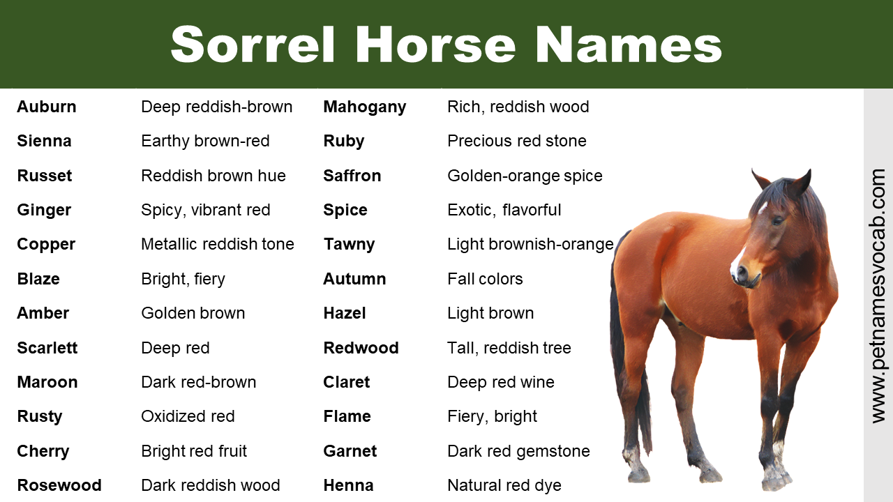 Sorrel Horse Names