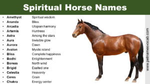 Spiritual Horse Names