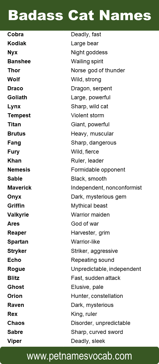 Badass Cat Names