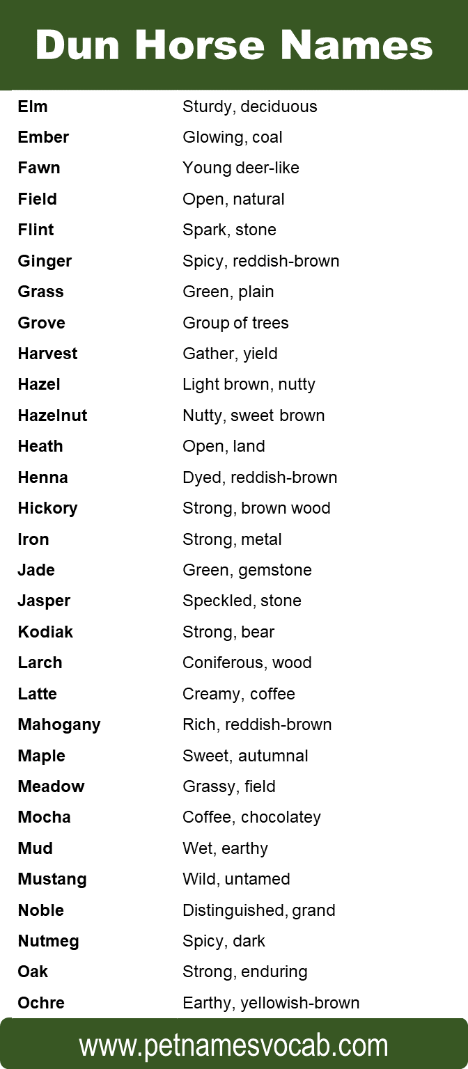 Dun Horse Names