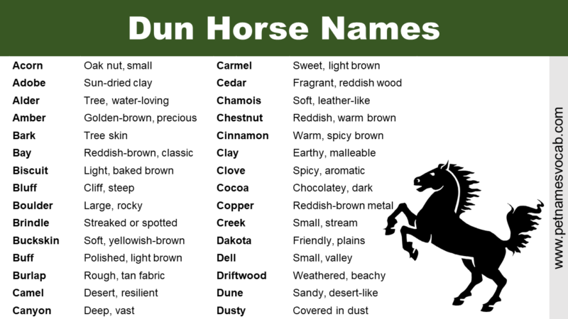 Cool Dun Horse Names (with meaning) - Pet Names Vocab