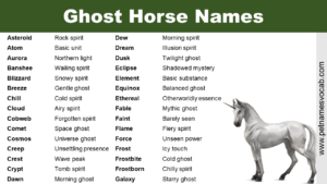 Ghost Horse Names
