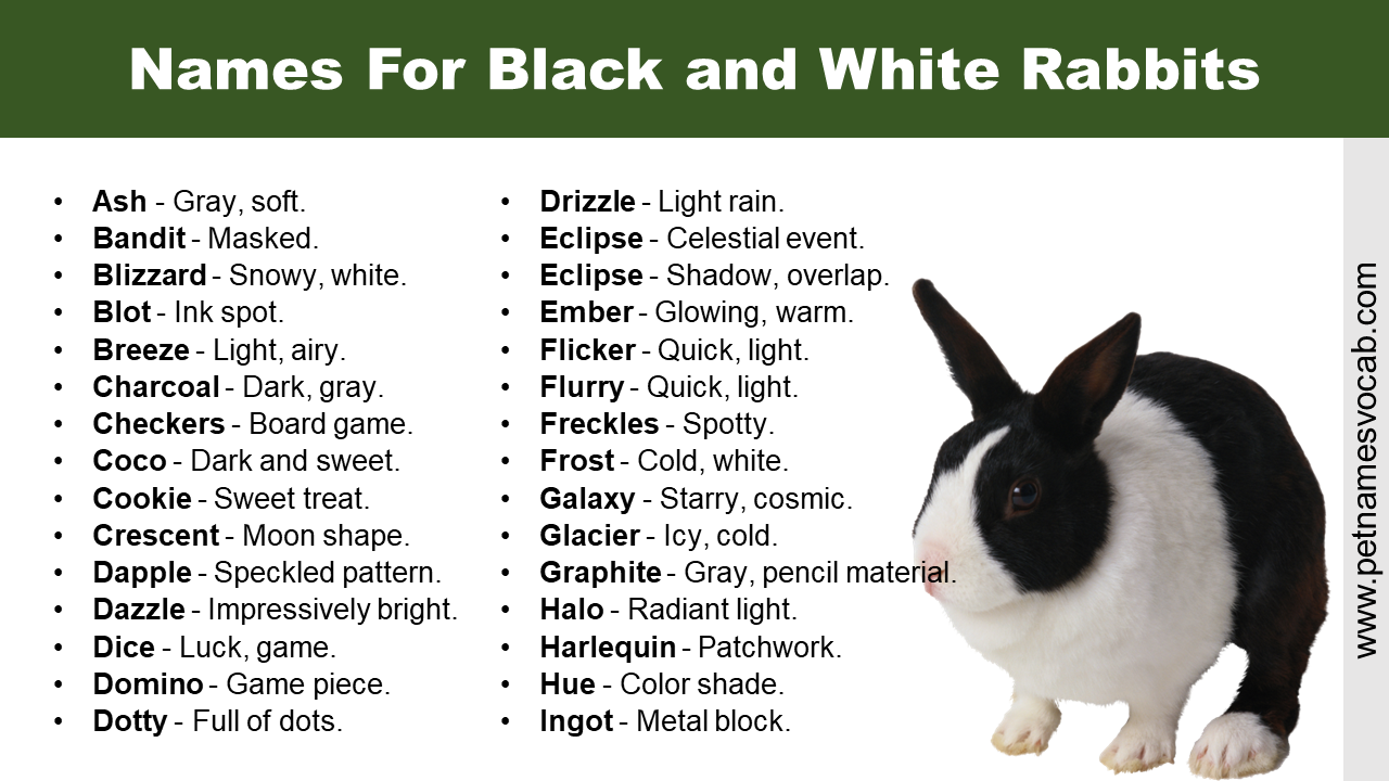 Names For Black and White Rabbits