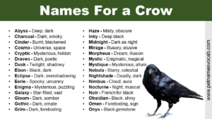 Names For a Crow