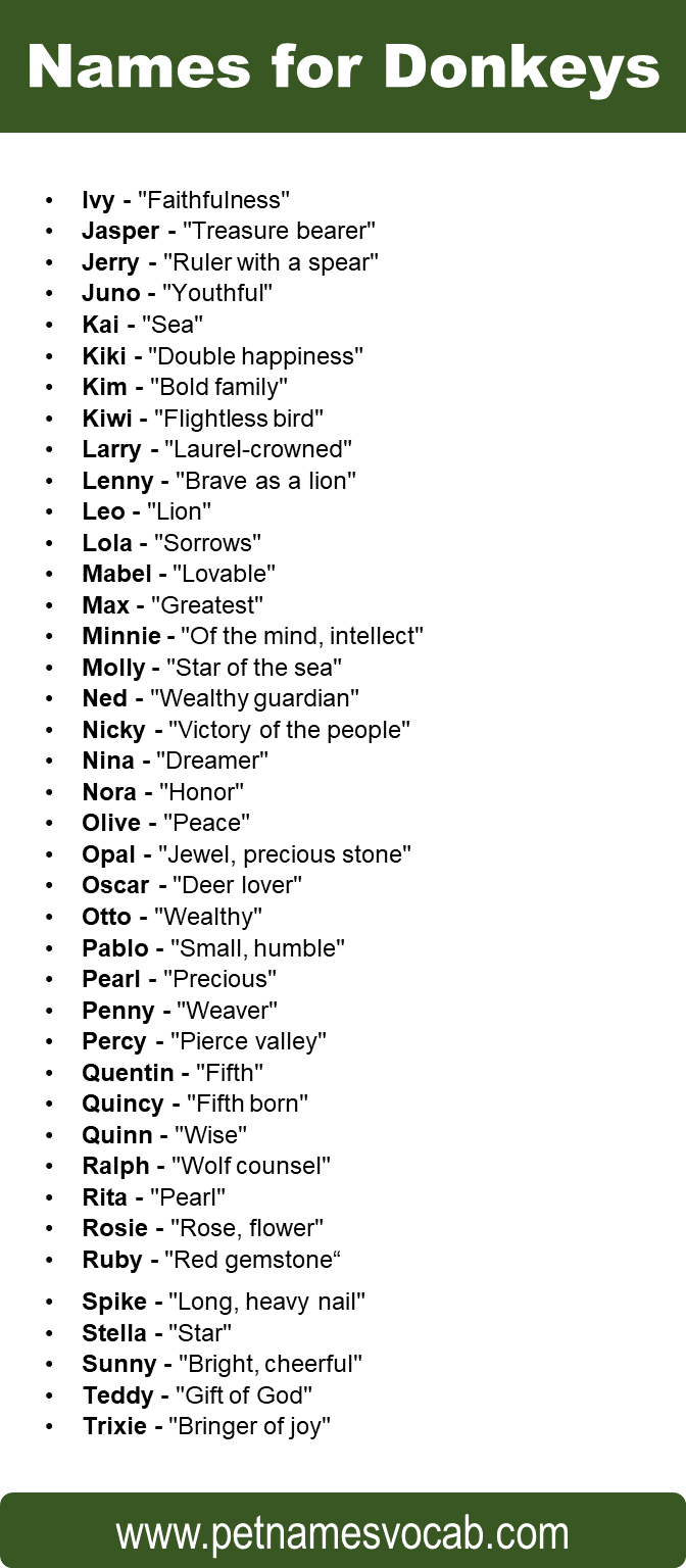 Names for Donkeys