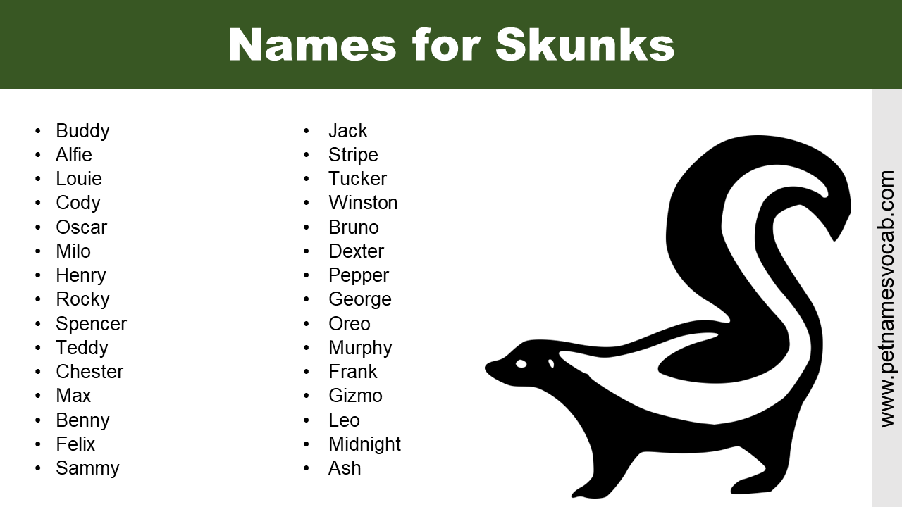 Names for Skunks